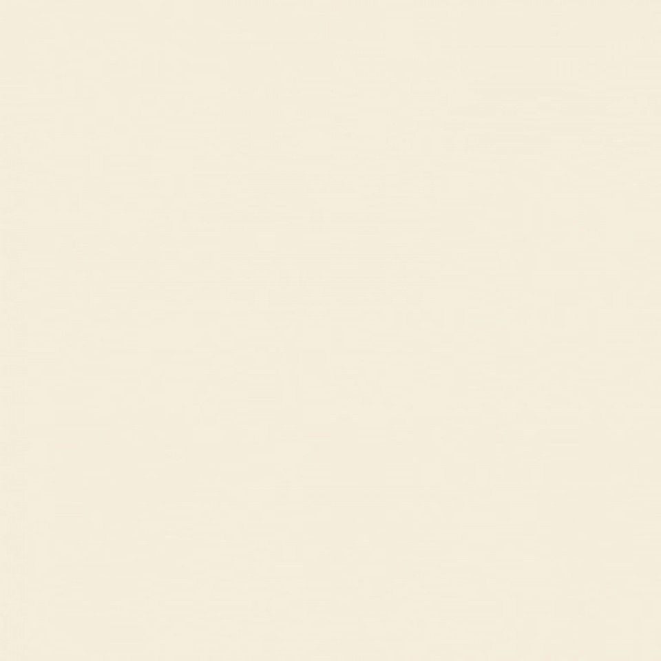 Moleskin Satin