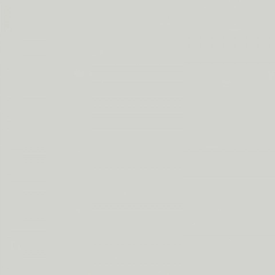 Oyster Grey Satin