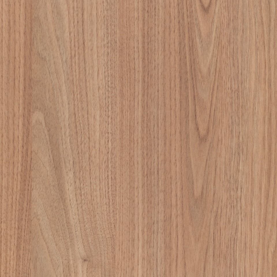 Tasmanian Oak