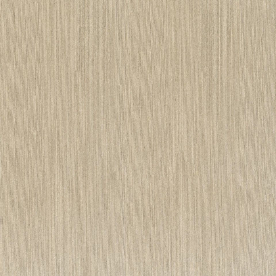 Gesso Lini