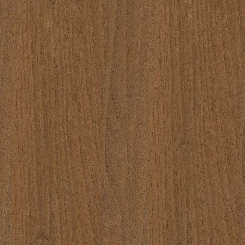 European Walnut