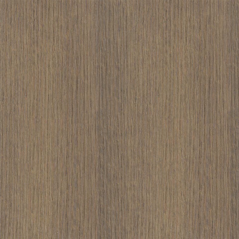 Sepia Oak