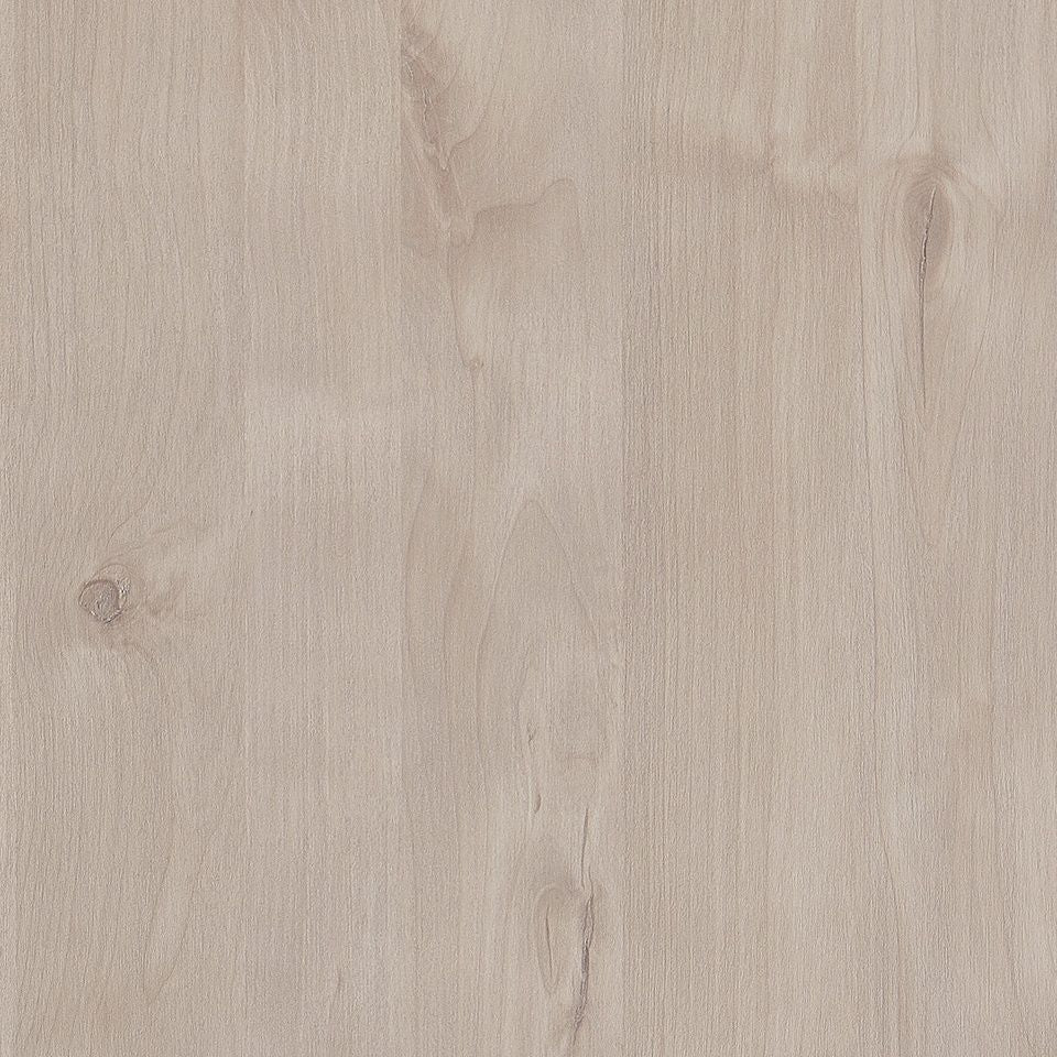 Angora Oak