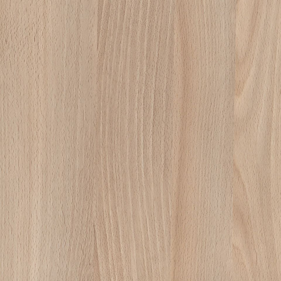 Casentino Beech
