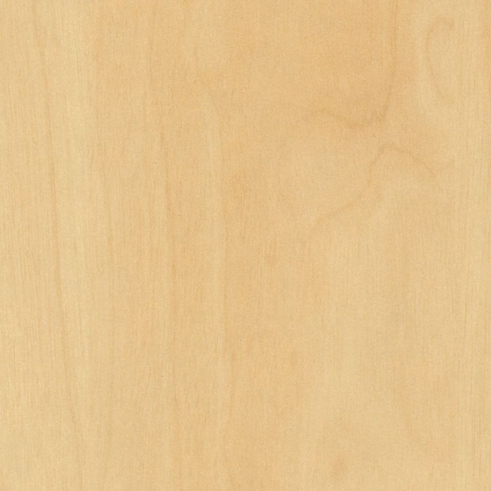 Curly Birch Satin