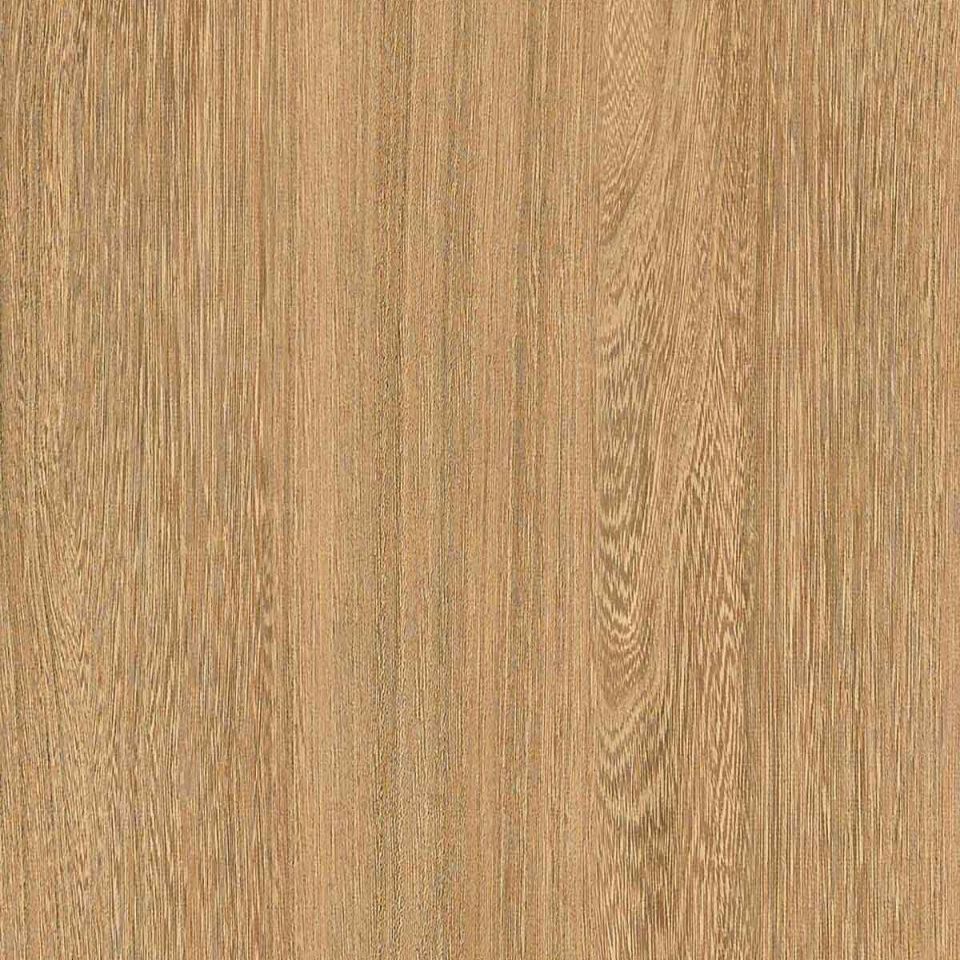 Honey Elm Satin